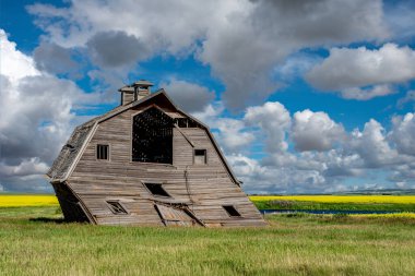 Saskatchewan 'daki bozkırlara düşmeye hazır terk edilmiş bir ahır. 