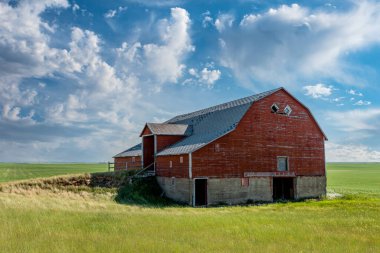 Saskatchewan 'da terk edilmiş kırmızı bir bodrum ya da bir banka ambarı.