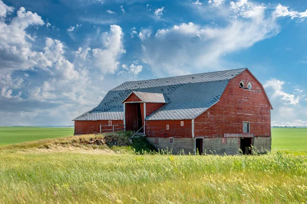 Saskatchewan 'da terk edilmiş kırmızı bir bodrum ya da bir banka ambarı.
