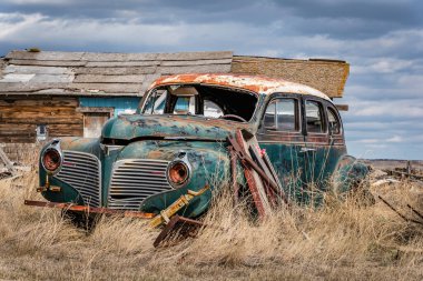 An abandoned green and white classic sedan with missing headlights in tall grass on the prairies in Saskatchewan