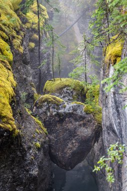 Close up of heart shaped stones in the middle of Maligne Canyon in Jasper National Park, Canada