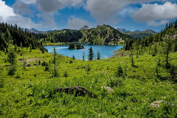 Closeup Rock Isle Lake Sunshine Meadows Sunshine Village Alberta — Stock fotografie