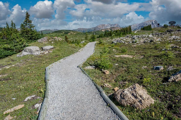 Sunshine Village Alberta Agosto 2022 Sendero Senderismo Desde Standish Sunshine —  Fotos de Stock