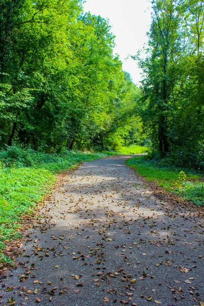 Jalan kaki di taman. — Stok Foto