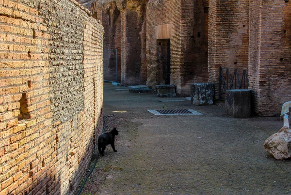 Großes kolosseum, rom, italien — Stockfoto