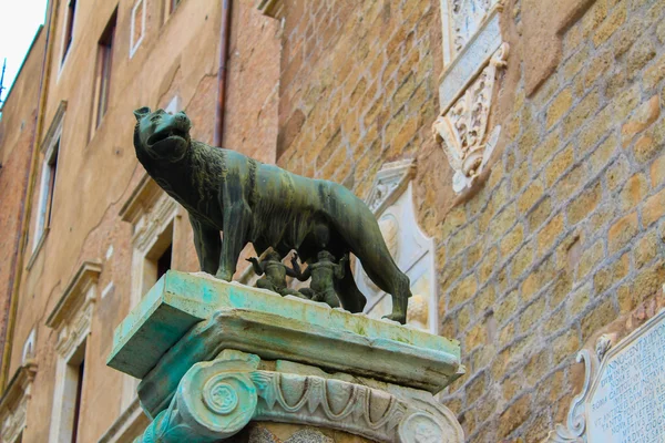 O Lobo Capitolino — Fotografia de Stock
