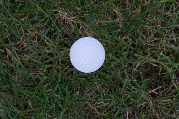 Golfbal — Stockfoto