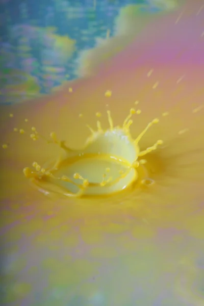 Splash of yellow milk . — стоковое фото