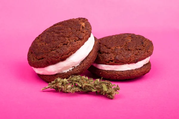 Kakaové sušenky s konopím a suchými marihuanovými pohárky — Stock fotografie