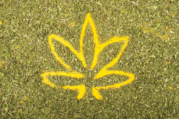 Пофарбований лист канабісу з сухого листя марихуани — стокове фото