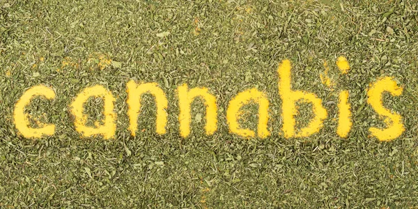 Texto letras de palabras de cannabis con fondo de hoja seca verde — Foto de Stock