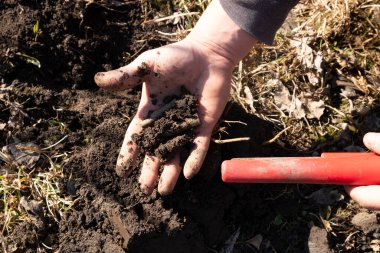 Metal detektör kullanarak askeri mühimmat ve silah arayın.