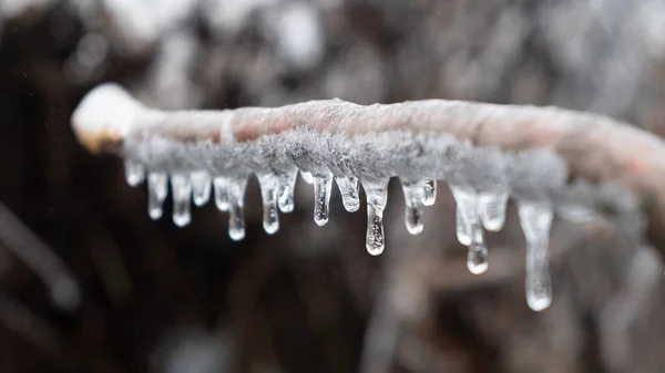 Jég Jégcsapok Lógnak Egy Hideg Időjárás Fagyok — Stock Fotó