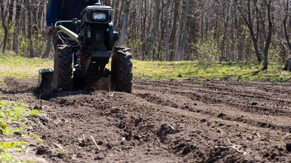 Jarní Příprava Půdy Pro Výsadbu Osiva Člověk Traktorem Obdělává Černou — Stock fotografie