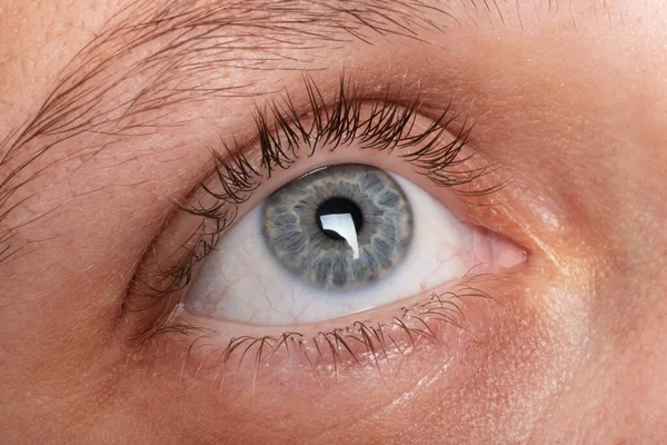 Female Eye Close Vision Diagnostics — ストック写真