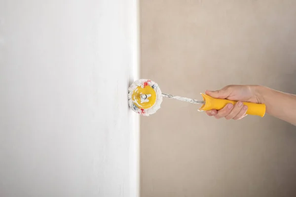 Painting Wall Latex Paint Roller Stockfoto