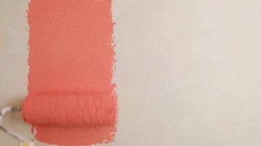 painting the wall with a roller in peach pink color, renovation, house mockup High quality FullHD footage