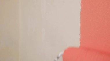 roller wall painting peach orange color closeup. High quality FullHD footage