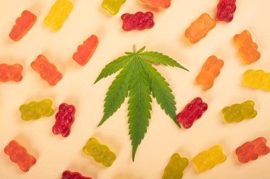 cannabis jelly candies, marijuana multicolored sweets drugs and green leaf on yellow background.