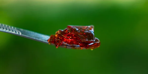 Amber Yellow Cannabis Wax Concentrate Dripping Dabbing Tool Closeup —  Fotos de Stock