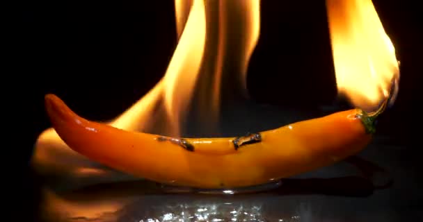 Yellow Burning Hot Chili Pepper Dark Background High Quality Footage — Vídeo de stock