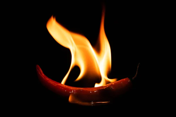 Burning Hot Chili Red Pepper Dark Closeup — Stok fotoğraf