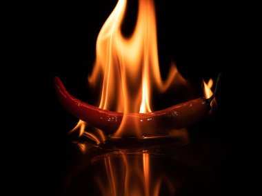 burning hot chili red pepper in dark closeup..