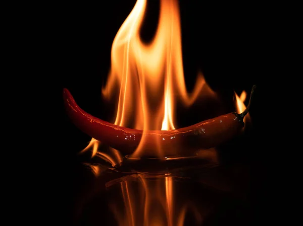 Burning Hot Chili Red Pepper Dark Closeup — Stock fotografie