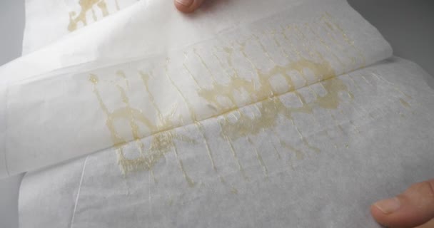 Extraction Cannabis Resin Press Golden Wax High Thc High Quality — 图库视频影像
