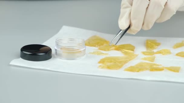 Golden Cannabis Resin Concentrate High Thc High Quality Fullhd Footage — Vídeo de Stock