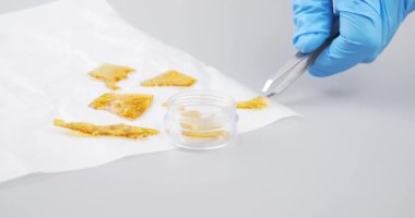 hand with tweezers hold medical marijuana golden wax concentrate. High quality 4k footage