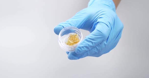 Golden Resin Wax Medical Cannabis Extract Hand Medical Gloves High — Vídeo de stock