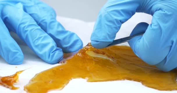 Sticky Cannabis Dab Resin Amber High Thc High Quality Footage — Stockvideo