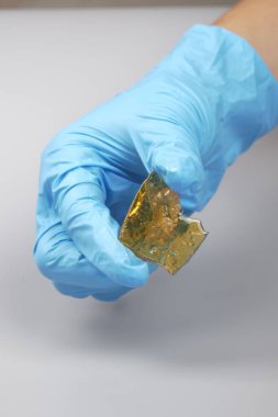 study of cannabis extract, concentrated thc resin content in doctor hand.