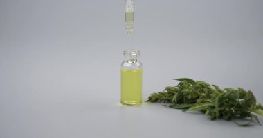 marijuana oil in bottle and green cannabis bud on gray background, pipette and medicinal extract marijuana. High quality 4k footage