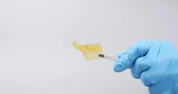 Amber Yellow Cannabis Wax Concentrate Dripping Dabbing Tool Closeup High — Vídeo de stock