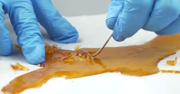 Dabbing Stick Golden Resin Wax Medical Cannabis Extract Hand Medical — Vídeo de stock