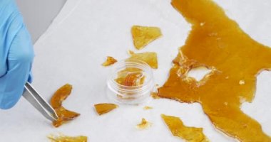 tweezers and pieces of cannabis wax put in a box. High quality 4k footage