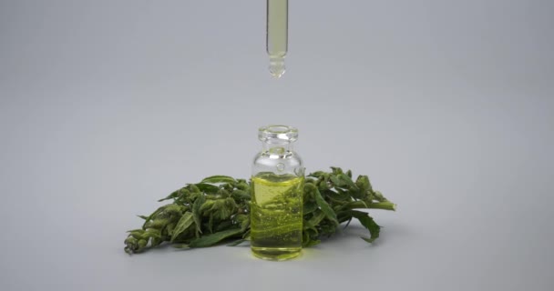 Essential Cbd Marijuana Yellow Oil Green Cannabis Bud High Quality — Stockvideo