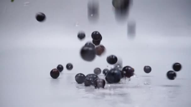 Spadające Ciemnoniebieskie Winorośli Zbliżenie Szarym Tle Wysokiej Jakości Materiał Filmowy — Wideo stockowe
