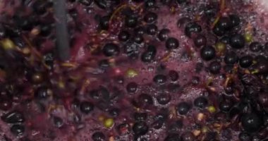 Bir fıçıda karıştırıcı ile üzüm kırbaçlamak, ev yapımı şarap yapma süreci. Yüksek kalite 4k görüntü