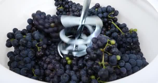 Fouetter Les Raisins Bleu Foncé Avec Mélangeur Dans Tonneau Processus — Video