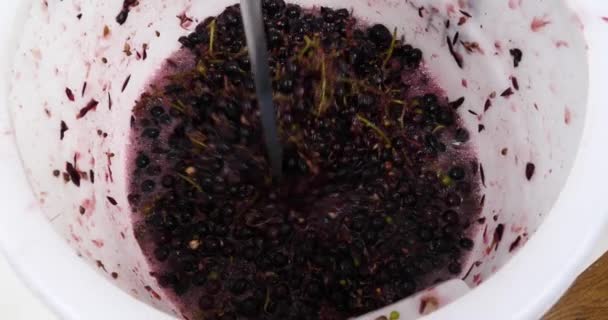 Moler Uvas Frescas Para Vino Proceso Elaboración Del Vino Imágenes — Vídeo de stock