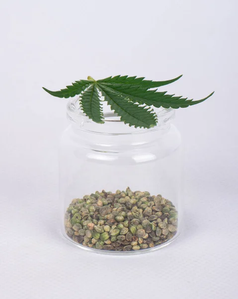 Semillas Cannabis Frasco Vidrio Primer Plano Cáñamo Grano Natural —  Fotos de Stock