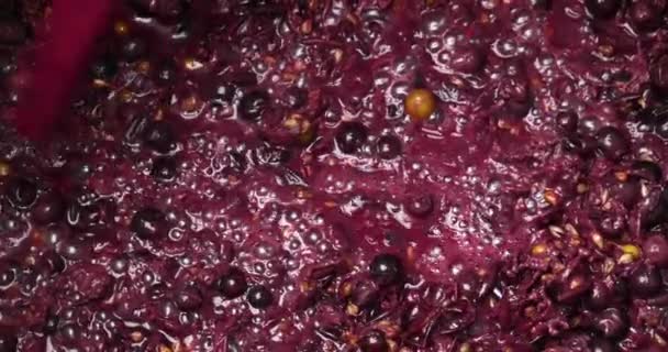 Wijnfermentatie Het Proces Van Het Maken Van Wijn Uit Druiven — Stockvideo
