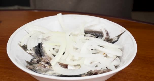 Processo Cottura Spratti Con Cipolle Pesce Salato Marinato Sott Olio — Video Stock