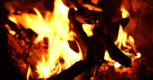 オーブンで炎を燃やしたりオーブンから薪を燃やしたり 高品質4K映像 — ストック動画