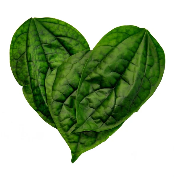 Green heart — Stock Photo, Image