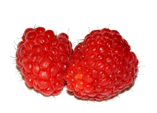 Framboises — Photo