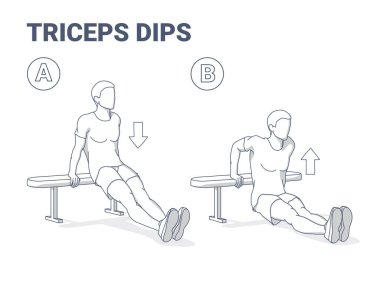 Bench Triceps Dips Egzersizi. Egzersiz Rehberi. Kolları üzerinde çalışan renkli Kavramsal Adam.